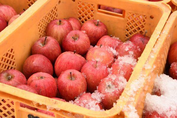 山形県朝日町のりんごは日本一!?幻のりんご・高徳や通販についても調査! | まるっこのまるっとブログ