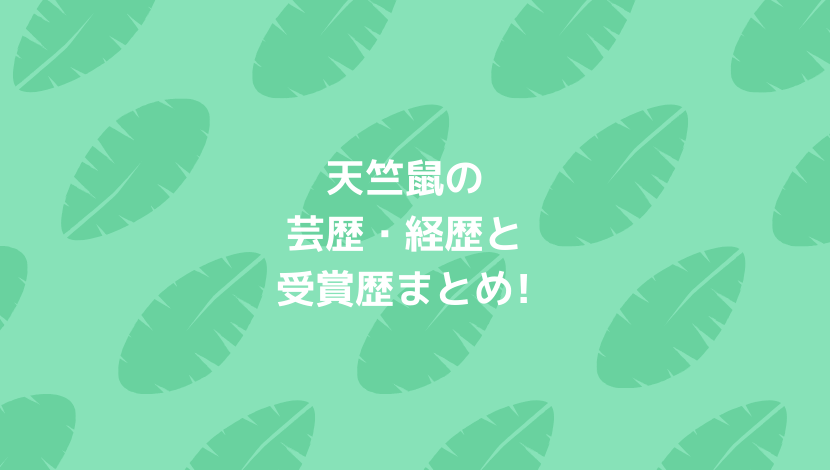 天竺鼠の芸歴 経歴と受賞歴まとめ M 1以外の戦歴もすごい まるっこのまるっとブログ